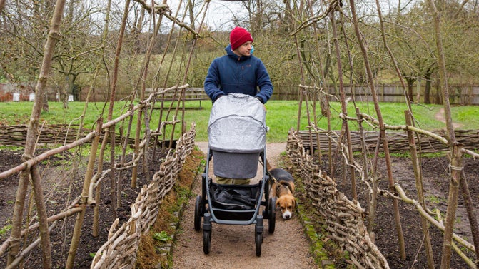 Visitor pushing a buggy through the willow arch in the Physic Garden in winter.